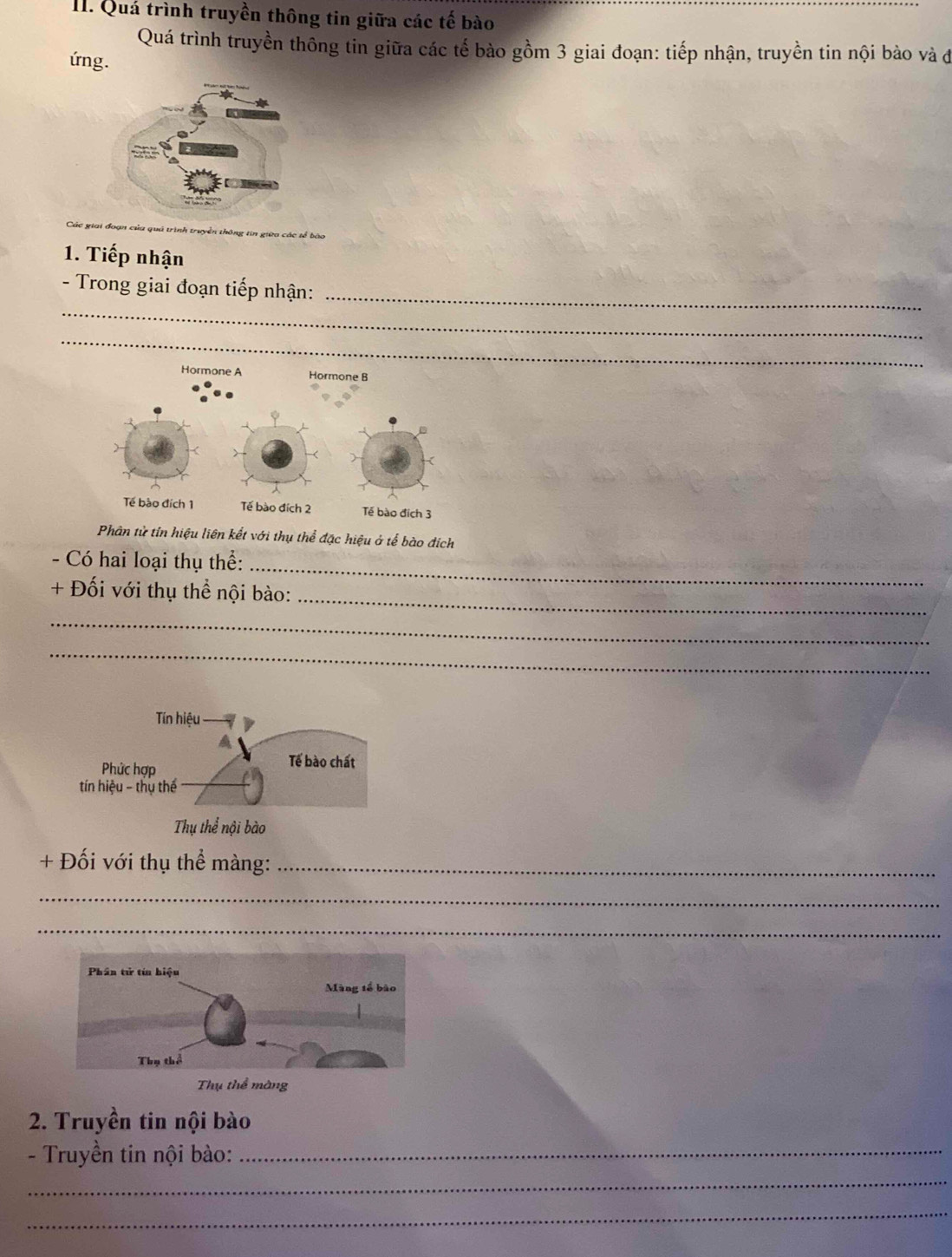 Quá trình truyền thông tin giữa các tế bào 
Quá trình truyền thông tin giữa các tế bào gồm 3 giai đoạn: tiếp nhận, truyền tin nội bào và đ 
úng. 
đoạn của quả trình truyền thông tin giữa các tề bào 
1. Tiếp nhận 
_ 
_ 
- Trong giai đoạn tiếp nhận: 
_ 
Hormone A Hormone B 
Tế bào đích 1 Tế bào đích 2 Tế bào đích 3
Phân tử tín hiệu liên kết với thụ thể đặc hiệu ở tế bào đích 
- Có hai loại thụ thể:_ 
_ 
+ Đối với thụ thể nội bào: 
_ 
_ 
+ Đối với thụ thể màng:_ 
_ 
_ 
Thụ thể màng 
2. Truyền tin nội bào 
- Truyền tin nội bào:_ 
_ 
_