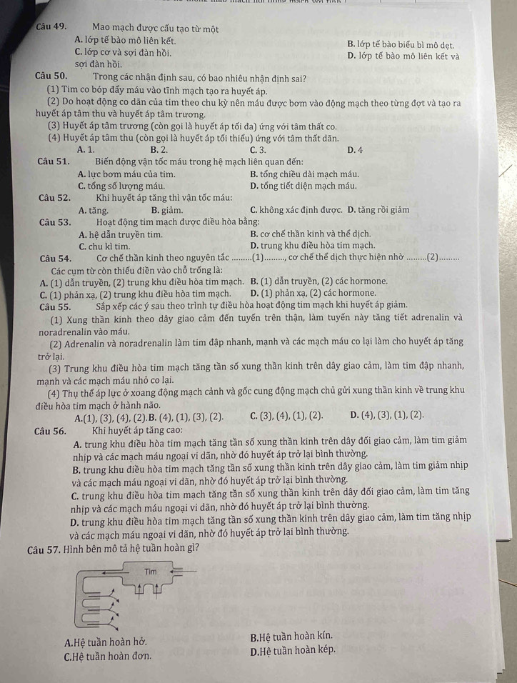 Mao mạch được cấu tạo từ một
A. lớp tế bào mô liên kết. B. lớp tế bào biểu bì mô dẹt.
C. lớp cơ và sợi đàn hồi, D. lớp tế bào mô liên kết và
sợi đàn hồi.
Câu 50. Trong các nhận định sau, có bao nhiêu nhận định sai?
(1) Tim co bóp đấy máu vào tĩnh mạch tạo ra huyết áp.
(2) Do hoạt động co dãn của tim theo chu kỳ nên máu được bơm vào động mạch theo từng đợt và tạo ra
huyết áp tâm thu và huyết áp tâm trương.
(3) Huyết áp tâm trương (còn gọi là huyết áp tối đa) ứng với tâm thất co.
(4) Huyết áp tâm thu (còn gọi là huyết áp tối thiểu) ứng với tâm thất dãn.
A. 1. B. 2. C. 3. D. 4
Câu 51.  Biến động vận tốc máu trong hệ mạch liên quan đến:
A. lực bơm máu của tim. B. tổng chiều dài mạch máu.
C. tổng số lượng máu. D. tổng tiết diện mạch máu.
Câu 52. Khi huyết áp tăng thì vận tốc máu:
A. tăng. B. giảm. C. không xác định được. D. tăng rồi giảm
Câu 53.  Hoạt động tim mạch được điều hòa bằng:
A. hệ dẫn truyền tim. B. cơ chế thần kinh và thể dịch.
C. chu kì tim. D. trung khu điều hòa tim mạch.
Câu 54. Cơ chế thần kinh theo nguyên tắc .........(1).........., cơ chế thể dịch thực hiện nhờ .........(2) .....
Các cum từ còn thiếu điền vào chỗ trống là:
A. (1) dẫn truyền, (2) trung khu điều hòa tim mạch. B. (1) dẫn truyền, (2) các hormone.
C. (1) phản xạ, (2) trung khu điều hòa tim mạch. D. (1) phản xạ, (2) các hormone.
Câu 55. Sắp xếp các ý sau theo trình tự điều hòa hoạt động tim mạch khi huyết áp giảm.
(1) Xung thần kinh theo dây giao cảm đến tuyến trên thận, làm tuyến này tăng tiết adrenalin và
noradrenalin vào máu.
(2) Adrenalin và noradrenalin làm tim đập nhanh, mạnh và các mạch máu co lại làm cho huyết áp tăng
trở lại.
(3) Trung khu điều hòa tim mạch tăng tần số xung thần kinh trên dây giao cảm, làm tim đập nhanh,
mạnh và các mạch máu nhỏ co lại.
(4) Thụ thể áp lực ở xoang động mạch cảnh và gốc cung động mạch chủ gửi xung thần kinh về trung khu
điều hòa tim mạch ở hành não.
A.(1), (3), (4), (2).B. (4), (1), (3), (2). C. (3), (4), (1), (2). D. (4), (3), (1), (2).
Câu 56.  Khi huyết áp tăng cao:
A. trung khu điều hòa tim mạch tăng tần số xung thần kinh trên dây đối giao cảm, làm tim giảm
nhịp và các mạch máu ngoại vi dãn, nhờ đó huyết áp trở lại bình thường.
B. trung khu điều hòa tim mạch tăng tần số xung thần kinh trên dây giao cảm, làm tim giảm nhịp
và các mạch máu ngoại vi dãn, nhờ đó huyết áp trở lại bình thường.
C. trung khu điều hòa tim mạch tăng tần số xung thần kinh trên dây đối giao cảm, làm tim tăng
nhịp và các mạch máu ngoại vi dãn, nhờ đó huyết áp trở lại bình thường.
D. trung khu điều hòa tim mạch tăng tần số xung thần kinh trên dây giao cảm, làm tim tăng nhịp
và các mạch máu ngoại vi dãn, nhờ đó huyết áp trở lại bình thường.
Câu 57. Hình bên mô tả hệ tuần hoàn gì?
A.Hệ tuần hoàn hở. B.Hệ tuần hoàn kín.
C.Hệ tuần hoàn đơn. D.Hệ tuần hoàn kép.