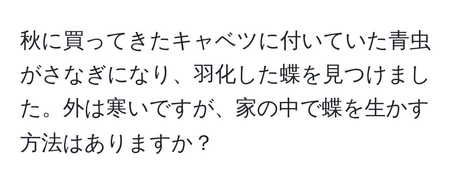 秋に買ってきたキャベツに付いていた青虫がさなぎになり、羽化した蝶を見つけました。外は寒いですが、家の中で蝶を生かす方法はありますか？