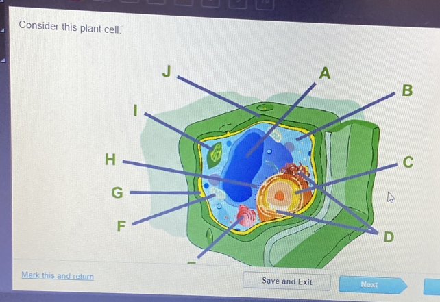 Consider this plant cell. 
Mark this and retu