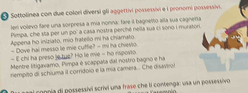 Sottolinea con due colori diversi gli aggettivi possessivi e i pronomi possessivi. 
leri volevo fare una sorpresa a mia nonna: fare il bagnetto alla sua cagnetta 
Pimpa, che sta per un po' a casa nostra perché nella sua ci sono i muratori. 
Appena ho iniziato, mio fratello mi ha chiamato. 
- Dove hai messo le mie cuffie? - mi ha chiesto. 
- E chi ha preso le tue? Ho le mie - ho risposto. 
Mentre litigavamo, Pimpa è scappata dal nostro bagno e ha 
riempito di schiuma il corridoio e la mia camera... Che disastro! 
agni conpia di possessivi scrivi una frase che li contenga: usa un possessivo