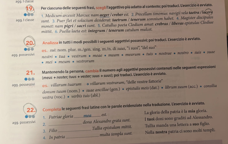 agg. I classe
1 Per ciascuna delle seguenti frasi, scegli l'aggettivo più adatto al contesto; poi traduci. Lesercizio è avviato.
1. Medicum arcessit Marcus: nam aeger / creber est. 2. Procellam timemus: navigii vela taetra / lacera
agg. I classe sunt. 3. Puer flet et solacium desiderat: taetrum / tenerum somnium habet. 4. Magister discipulos
monet: nam pigri / sacri sunt. 5. Catullus poeta Clodiam amat: crebras / liberas epistulas Clodiae
mittit. 6. Puella laeta est: integrum / tenerum catulum mulcet.
20 Analizza in tutti i modi possibili i seguenti aggettivi possessivi; poi traduci. Lesercizio è avviato.
es. sui: nom. plur. m./gen. sing. m./n. di suus, “i suoi”, “del suo”
agg. possessivi nostri * tua * vestrum • meae * meam • mearum • tuis * nostrae * nostro * suis * suae
• mei • meum • vestrorum
21. Mantenendo la persona, cambia il numero agli aggettivi possessivi contenuti nelle seguenti espressioni
(meus → noster; tuus → vester; suus → suus); poi traduci. L'esercizio è avviato.
agg. possessivi s. villarum tuarum → villarum vestrarum, ''delle vostre fattorie'
donum tuum (nom.) • suae ancillae (gen.) • epistulis meis (dat.) • librum suum (acc.) ● consilia
vestra (voc.) • verbis tuis (abl.)
22.   Completa le seguenti frasi latine con le parole evidenziate nella traduzione. Lesercizio è avviato.
1. Patriae gloria _mea_ est. La gloria della patria è la mia gloria.
agg. possessivi 2._
dona Alexandro grata sunt. I tuoi doni sono graditi ad Alessandro.
3. Filio Tullia epistulam mittit. Tullia manda una lettera a suo figlio.
4. In patria _multa templa sunt. Nella nostra patria ci sono molti templi.