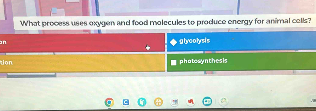 What process uses oxygen and food molecules to produce energy for animal cells?
n
glycolysis
tion
photosynthesis
Ju