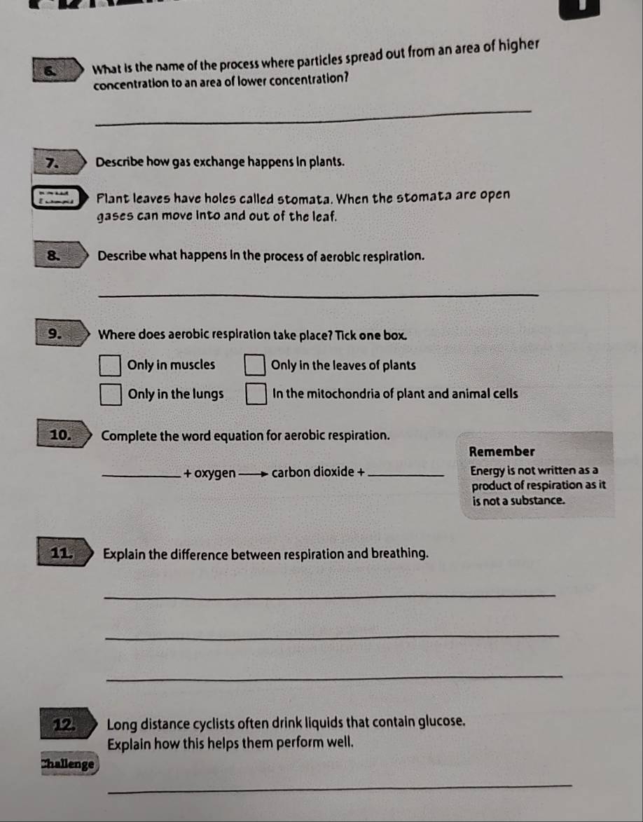 What is the name of the process where particles spread out from an area of higher
concentration to an area of lower concentration?
_
7. Describe how gas exchange happens in plants.
Plant leaves have holes called stomata. When the stomata are open
gases can move into and out of the leaf.
8. Describe what happens in the process of aerobic respiration.
_
9. Where does aerobic respiration take place? Tick one box.
Only in muscles Only in the leaves of plants
Only in the lungs In the mitochondria of plant and animal cells
10. Complete the word equation for aerobic respiration.
Remember
_+ oxygen carbon dioxide + _Energy is not written as a
product of respiration as it
is not a substance.
11. Explain the difference between respiration and breathing.
_
_
_
12. Long distance cyclists often drink liquids that contain glucose.
Explain how this helps them perform well.
hallenge
_