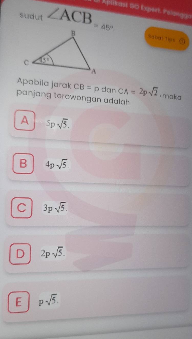 Ul Aplikasi GO Expert. Pelanggo
sudut ∠ ACB=45°.
Sobat Tips
Apabila jarak CB=p dan CA=2psqrt(2) ，maka
panjang terowongan adalah
A 5psqrt(5).
B 4psqrt(5).
C 3psqrt(5).
D 2psqrt(5).
E psqrt(5).