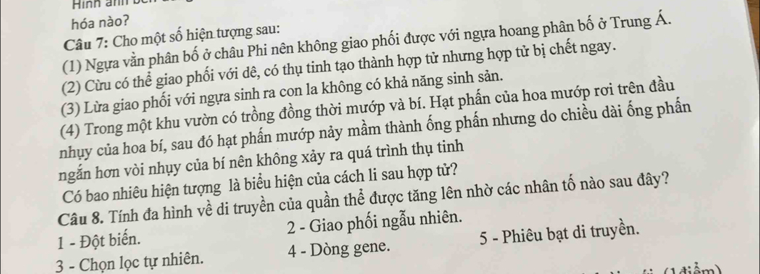 Hình ảnh
hóa nào?
Câu 7: Cho một số hiện tượng sau:
(1) Ngựa vằn phân bố ở châu Phi nên không giao phối được với ngựa hoang phân bố ở Trung Á.
(2) Cừu có thể giao phối với dê, có thụ tinh tạo thành hợp tử nhưng hợp tử bị chết ngay.
(3) Lừa giao phối với ngựa sinh ra con la không có khả năng sinh sản.
(4) Trong một khu vườn có trồng đồng thời mướp và bí. Hạt phấn của hoa mướp rơi trên đầu
nhụy của hoa bí, sau đó hạt phấn mướp nảy mầm thành ống phấn nhưng do chiều dài ống phần
ngắn hơn vòi nhụy của bí nên không xảy ra quá trình thụ tinh
Có bao nhiêu hiện tượng là biểu hiện của cách li sau hợp tử?
Câu 8. Tính đa hình về di truyền của quần thể được tăng lên nhờ các nhân tố nào sau đây?
1 - Đột biến. 2 - Giao phối ngẫu nhiên.
3 - Chọn lọc tự nhiên. 4 - Dòng gene. 5 - Phiêu bạt di truyền.
điểm)