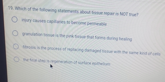 Which of the following statements about tissue repair is NOT true?
injury causes capillaries to become permeable
granulation tissue is the pink tissue that forms during healing
fibrosis is the process of replacing damaged tissue with the same kind of cells
the final step is regeneration of surface epithelium