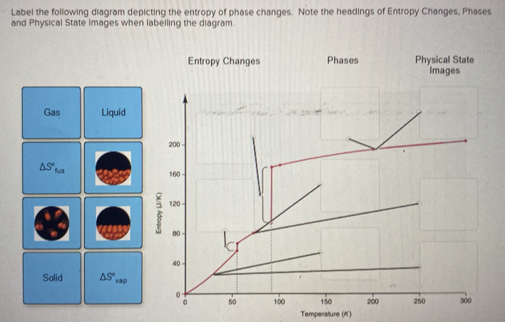 Solved: Label the following diagram depicting the entropy of phase ...
