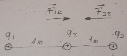 vector F_12
+32
q_1
92
90
Am 
Im 
④ 
④