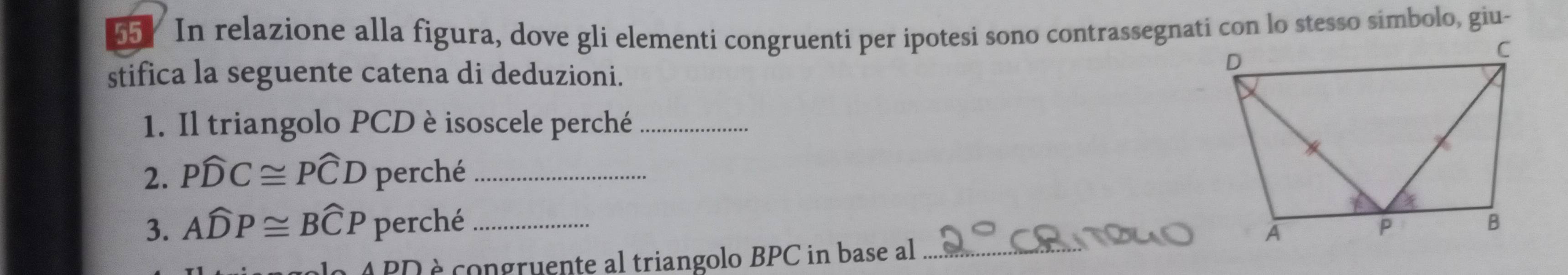 In relazione alla figura, dove gli elementi congruenti per ipotesi sono contrassegnati con lo stesso simbolo, giu- 
stifica la seguente catena di deduzioni. 
1. Il triangolo PCD è isoscele perché_ 
2. Pwidehat DC≌ Pwidehat CD perché_ 
3. Awidehat DP≌ Bwidehat CP perché_ 
PD è congruente al triangolo BPC in base al_