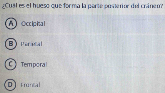 ¿Cuál es el hueso que forma la parte posterior del cráneo?
A Occipital
B Parietal
C Temporal
D ) Frontal