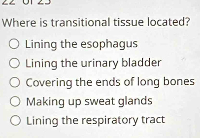 Where is transitional tissue located?
Lining the esophagus
Lining the urinary bladder
Covering the ends of long bones
Making up sweat glands
Lining the respiratory tract