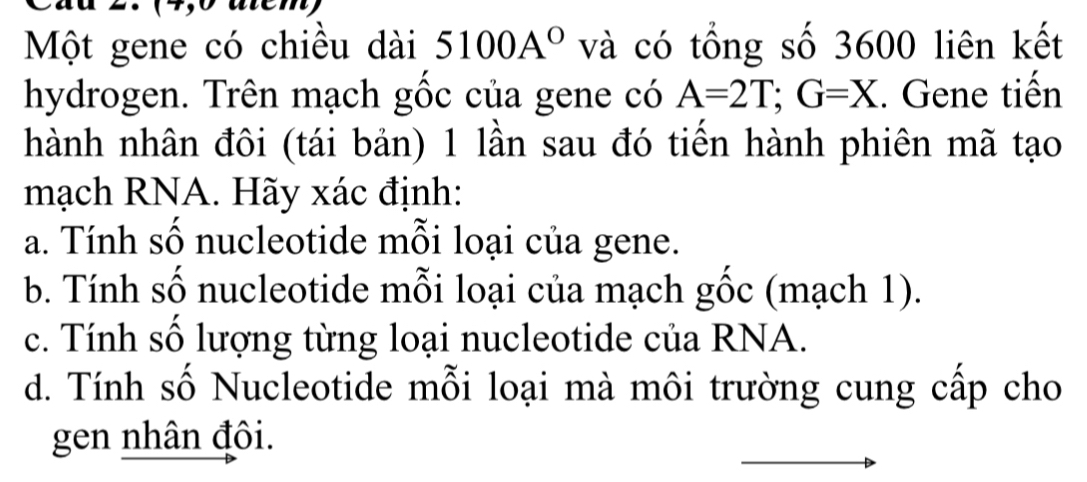 Một gene có chiều dài 5100A° và có tổng số 3600 liên kết
hydrogen. Trên mạch gốc của gene có A=2T; G=X. Gene tiến
hành nhân đôi (tái bản) 1 lần sau đó tiến hành phiên mã tạo
mạch RNA. Hãy xác định:
a. Tính số nucleotide mỗi loại của gene.
b. Tính số nucleotide mỗi loại của mạch gốc (mạch 1).
c. Tính số lượng từng loại nucleotide của RNA.
d. Tính số Nucleotide mỗi loại mà môi trường cung cấp cho
gen nhân đôi.