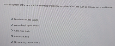 Which segment of the nephron is mainly responsible for secretion of solutes such as organic acids and bases?
Distal convoluted tubule
Ascending loop of Henle
Collecting ducts
Proximal tubule
Descending loop of Henle