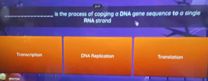 M/
is the process of copying a DNA gene sequence to a single
RNA strand
Transcription DNA Replication Translation
BRAITSN