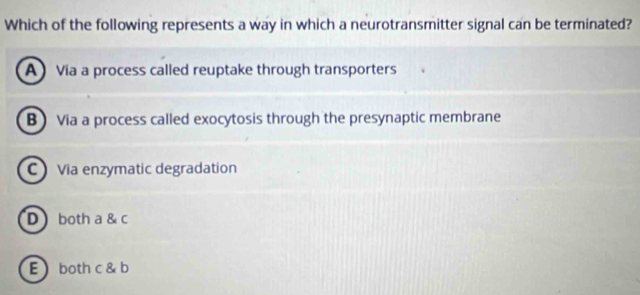 Which of the following represents a way in which a neurotransmitter signal can be terminated?
A ) Via a process called reuptake through transporters
B Via a process called exocytosis through the presynaptic membrane
C Via enzymatic degradation
D both a & c
E both c & b