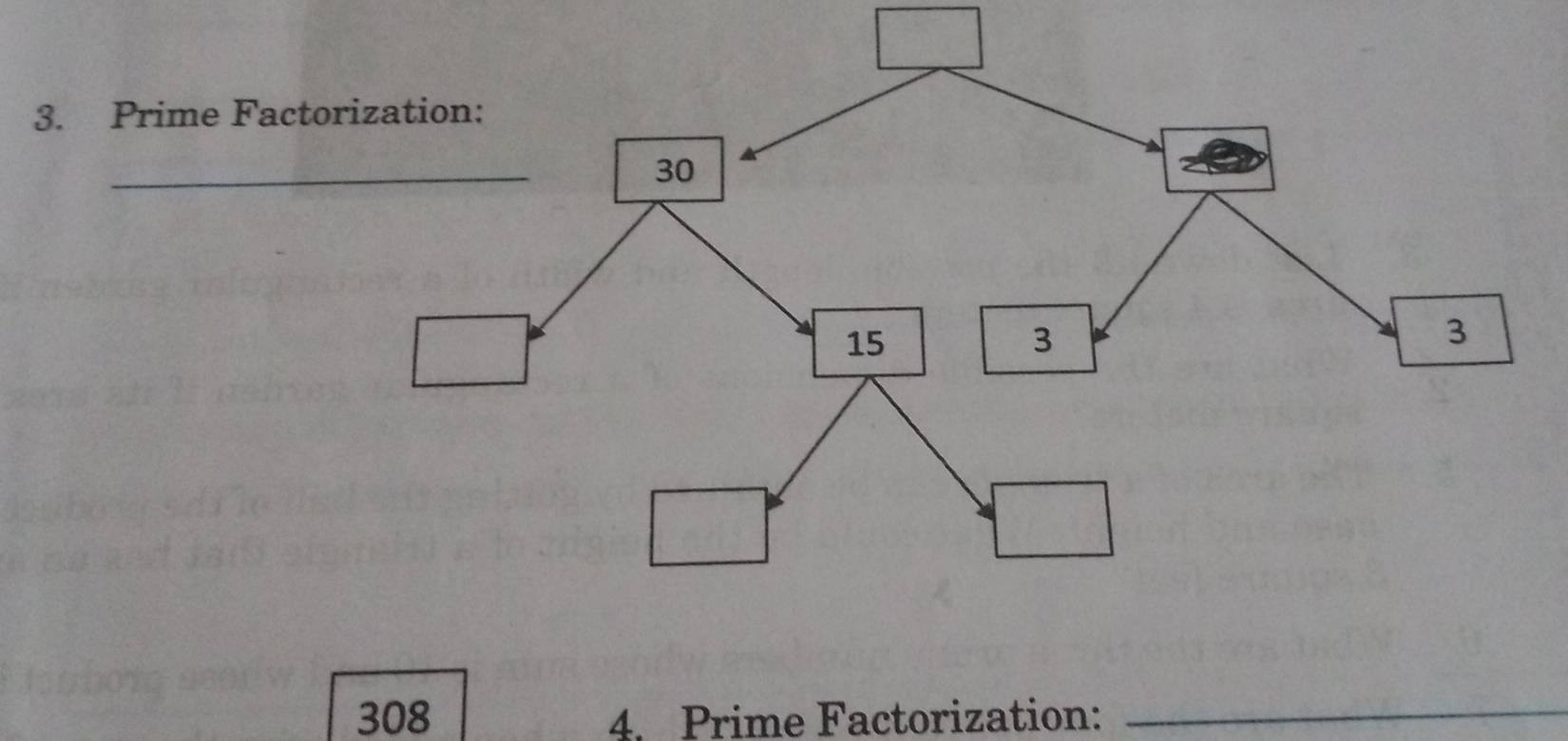 Prime 
308 4. Prime Factorization:_