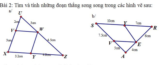 Tìm và tính những đoạn thắng song song trong các hình vẽ sau: