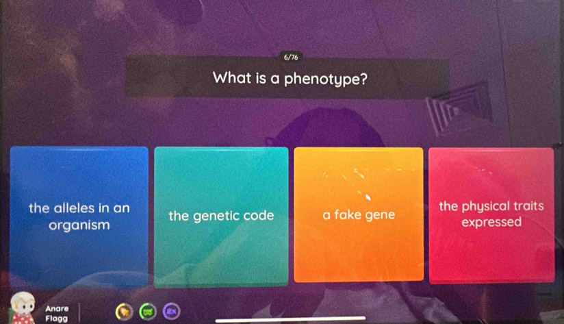 Solved: What is a phenotype? the alleles in an the genetic code a fake ...