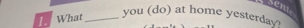 Sente 
1. What_ 
you (do) at home yesterday