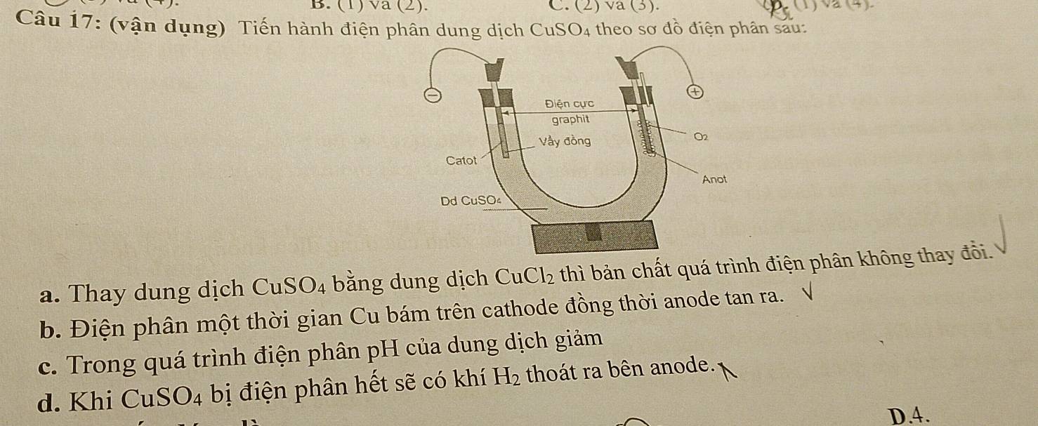 (1) va (2). C. (2) va (3). (1) va(4).
Câu 17: (vận dụng) Tiến hành điện phân dung dịch CuSO_4 theo sơ đồ điện phân sau:
a. Thay dung dịch CuS O_4 bằng dung dịch CuCl_2 thì bản chất quá trình điện phân không thay đồi.
b. Điện phân một thời gian Cu bám trên cathode đồng thời anode tan ra. √
c. Trong quá trình điện phân pH của dung dịch giảm
d. Khi CuSO_4 bị điện phân hết sẽ có khí H_2 thoát ra bên anode.
D. 4.