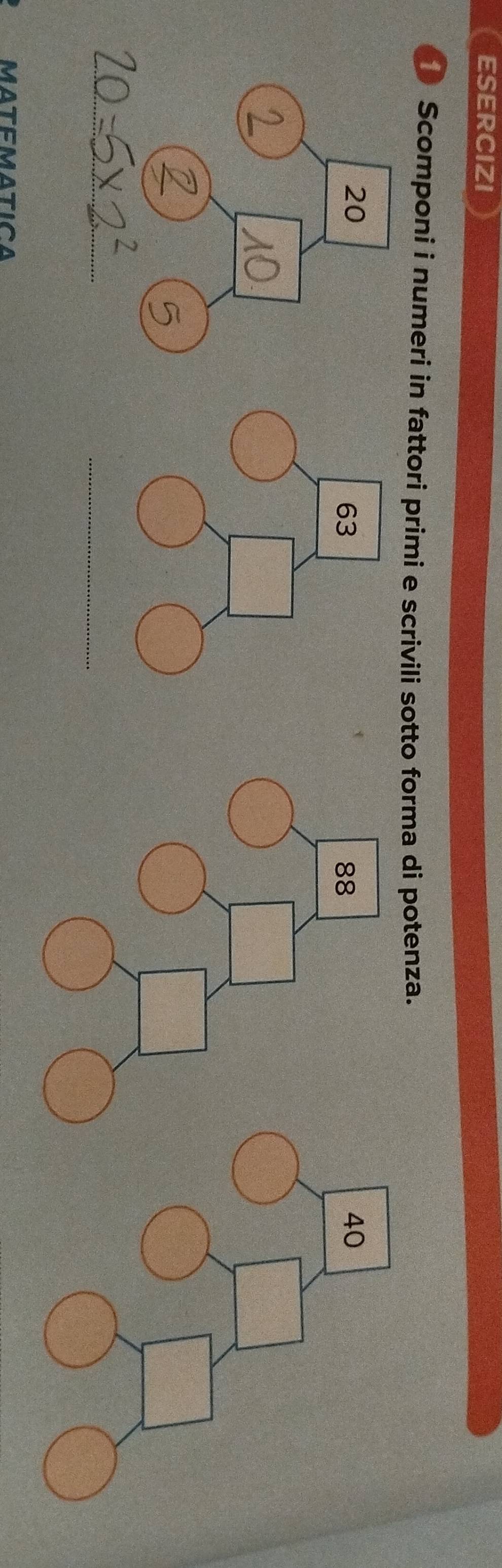 esercizi 
Scomponi i numeri in fattori primi e scrivili sotto forma di potenza. 
_