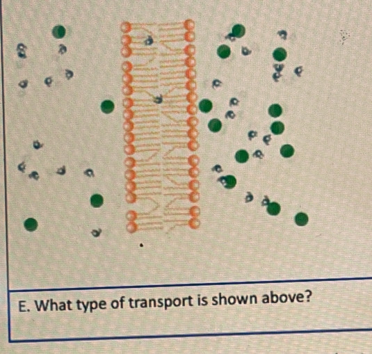 What type of transport is shown above?