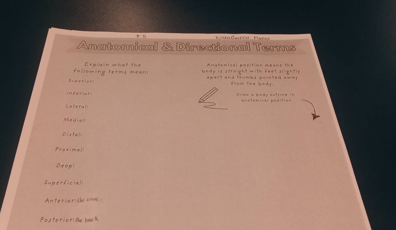 KíaraGarça Flores 
Anatomical & Directional Terms 
Explain what the Anatomical position means the 
following terms mean: body is straight with feet slightly. 
apart and thumbs pointed away . 
Superior: from the body. 
Inferior: Draw a body outline in 
anatomical position 
Lateral: 
Medial: 
Distal: 
Proximal: 
Deep: 
Superficial: 
Anterior:the rrunl 
Posterior:the back