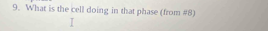 What is the cell doing in that phase (from #8)