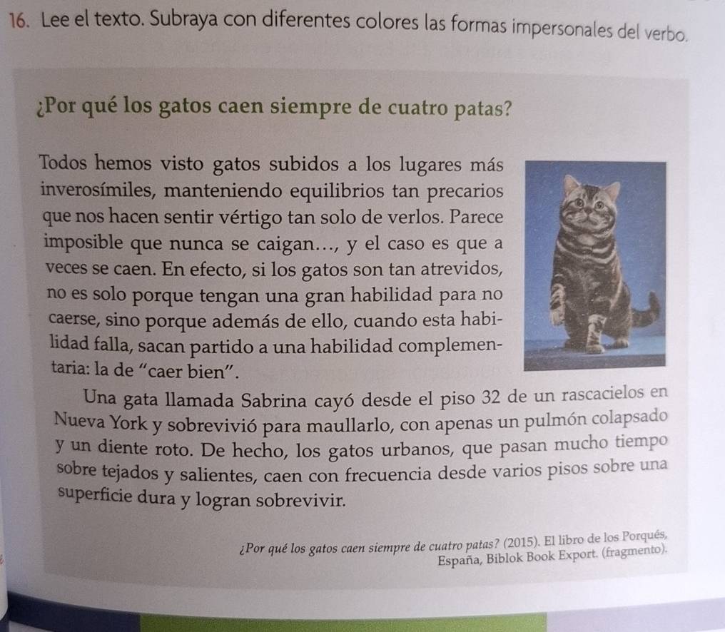 Lee el texto. Subraya con diferentes colores las formas impersonales del verbo. 
¿Por qué los gatos caen siempre de cuatro patas? 
Todos hemos visto gatos subidos a los lugares más 
inverosímiles, manteniendo equilibrios tan precarios 
que nos hacen sentir vértigo tan solo de verlos. Parece 
imposible que nunca se caigan..., y el caso es que a 
veces se caen. En efecto, si los gatos son tan atrevidos, 
no es solo porque tengan una gran habilidad para no 
caerse, sino porque además de ello, cuando esta habi- 
lidad falla, sacan partido a una habilidad complemen- 
taria: la de “caer bien”. 
Una gata llamada Sabrina cayó desde el piso 32 de un rascacielos en 
Nueva York y sobrevivió para maullarlo, con apenas un pulmón colapsado 
y un diente roto. De hecho, los gatos urbanos, que pasan mucho tiempo 
sobre tejados y salientes, caen con frecuencia desde varios pisos sobre una 
superficie dura y logran sobrevivir. 
¿Por qué los gatos caen siempre de cuatro patas? (2015). El libro de los Porqués, 
España, Biblok Book Export. (fragmento).