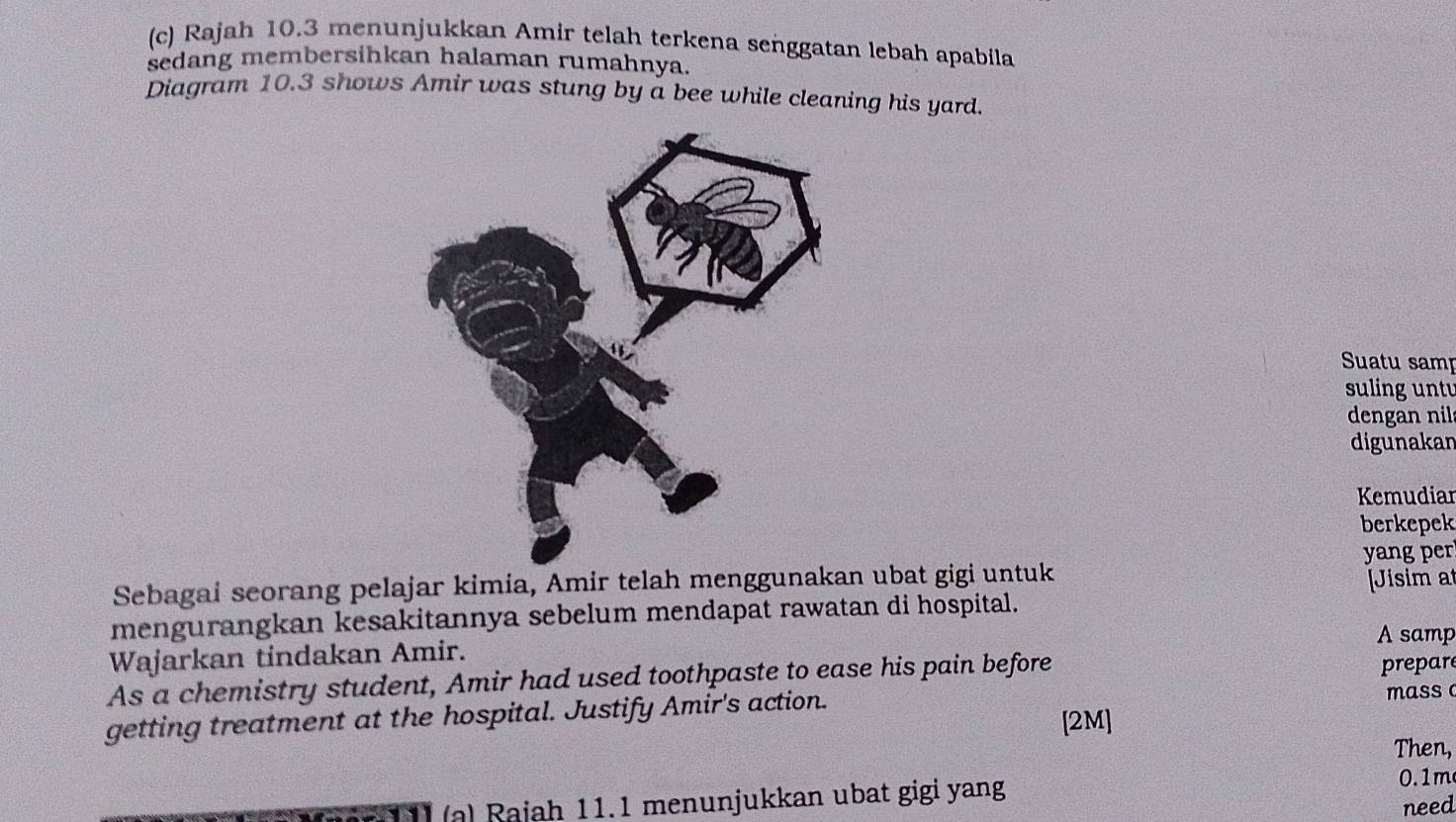 Rajah 10.3 menunjukkan Amir telah terkena seṅggatan lebah apabila 
sedang membersihkan halaman rumahnya. 
Diagram 10.3 shows Amir was stung by a bee while cleaning his yard 
Suatu samp 
suling unt 
dengan nil 
digunakan 
Kemudiar 
berkepek 
yang per 
Sebagai seorang pelajar kimia, Amir telah menggunakan ubat gigi untuk 
[Jisim at 
mengurangkan kesakitannya sebelum mendapat rawatan di hospital. 
A samp 
Wajarkan tindakan Amir. 
As a chemistry student, Amir had used toothpaste to ease his pain before 
prepar 
getting treatment at the hospital. Justify Amir's action. mass 
[2M] 
Then, 
a) Rajah 11.1 menunjukkan ubat gigi yang
0.1m
need