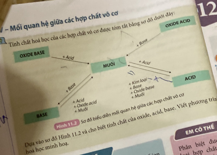 Mối quan hệ giữa các hợp chất vô cơ 
OXIDE ACID 
Tính chất hoá học của các hợp chất vô cơ được tóm tất bằng sơ đồ dưới đây 12
+ Base 
OXIDE BASE 
+ Acid + Acid 
Muối 
+ Kim loại 
ACID 
+ Base 
+ Base 
+ Oxide base 
+ Muối 
+ Acid 
+ Oxide acid 
Hình 11 20 Sơ đồ biểu diễn mối quan hệ giữa các hợp chất vô cơ 
BASE + Muối 
Dựa vào sơ đồ Hình 11.2 và cho biết tính chất của oxide, acid, base. Viết phương trì 
EM CÓ THể 
hoá học minh hoạ. 
Phân biệt đưc 
mi hợp chất