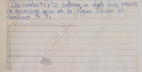 Das werbs Tty Tz soeenep un doeto cuyo, pesoes 
de ooN, como seve en 1a figura Calcular las 0) 
tenslones T1 T2 
up
500