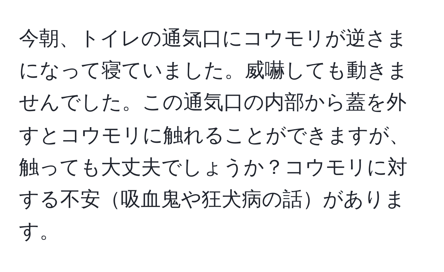 今朝、トイレの通気口にコウモリが逆さまになって寝ていました。威嚇しても動きませんでした。この通気口の内部から蓋を外すとコウモリに触れることができますが、触っても大丈夫でしょうか？コウモリに対する不安吸血鬼や狂犬病の話があります。