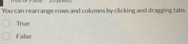 üe of Paise 20 points
You can rearrange rows and columns by clicking and dragging tabs.
True
False