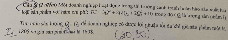 Một doanh nghiệp hoạt động trong thị trường cạnh tranh hoàn hảo sản xuất hai 
loại sản phẩm với hàm chỉ phí: TC=3Q_1^(2+2Q_1)Q_2+2Q_2^(2+10 trong đó ( Q là lượng sản phẩm i) 
Tìm mức sản lượng Q, Q_2) dể doanh nghiệp có được lợi nhuận tối đa khi giả sản phẩm một là
180$ và giá sản phẩm hai là 160$.