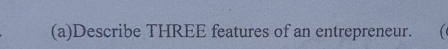 Describe THREE features of an entrepreneur.