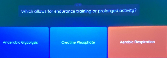 Which allows for endurance training or prolonged activity?
Anaerobic Glycolysis Creatine Phosphate Aerobic Respiration