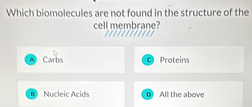 Which biomolecules are not found in the structure of the
cell membrane?
A Carbs c Proteins
B Nucleic Acids D All the above