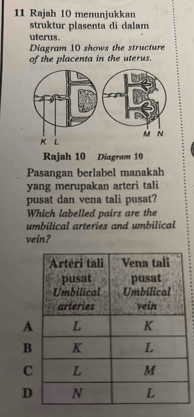 Rajah 10 menunjukkan 
struktur plasenta di dalam 
uterus. 
Diagram 10 shows the structure 
of the placenta in the uterus.
M N
Rajah 10 Diagram 10 
Pasangan berlabel manakah 
yang merupakan arteri tali 
pusat dan vena tali pusat? 
Which labelled pairs are the 
umbilical arteries and umbilical 
vein?