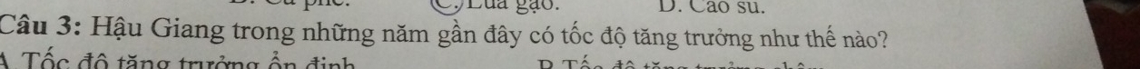 CyLua gạo. D. Cao su.
Câu 3: Hậu Giang trong những năm gần đây có tốc độ tăng trưởng như thế nào?
A Tốc đô tăng trưởng ổn định