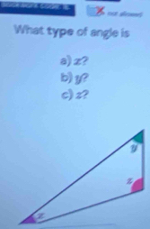 decwed 
What type of angle is 
a) z? 
b) y? 
c) z?