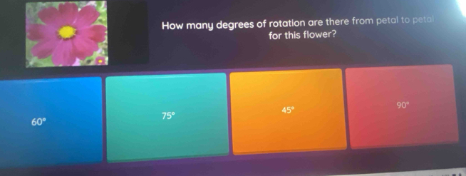 How many degrees of rotation are there from petal to petal
for this flower?
90°
75°
45°
60°