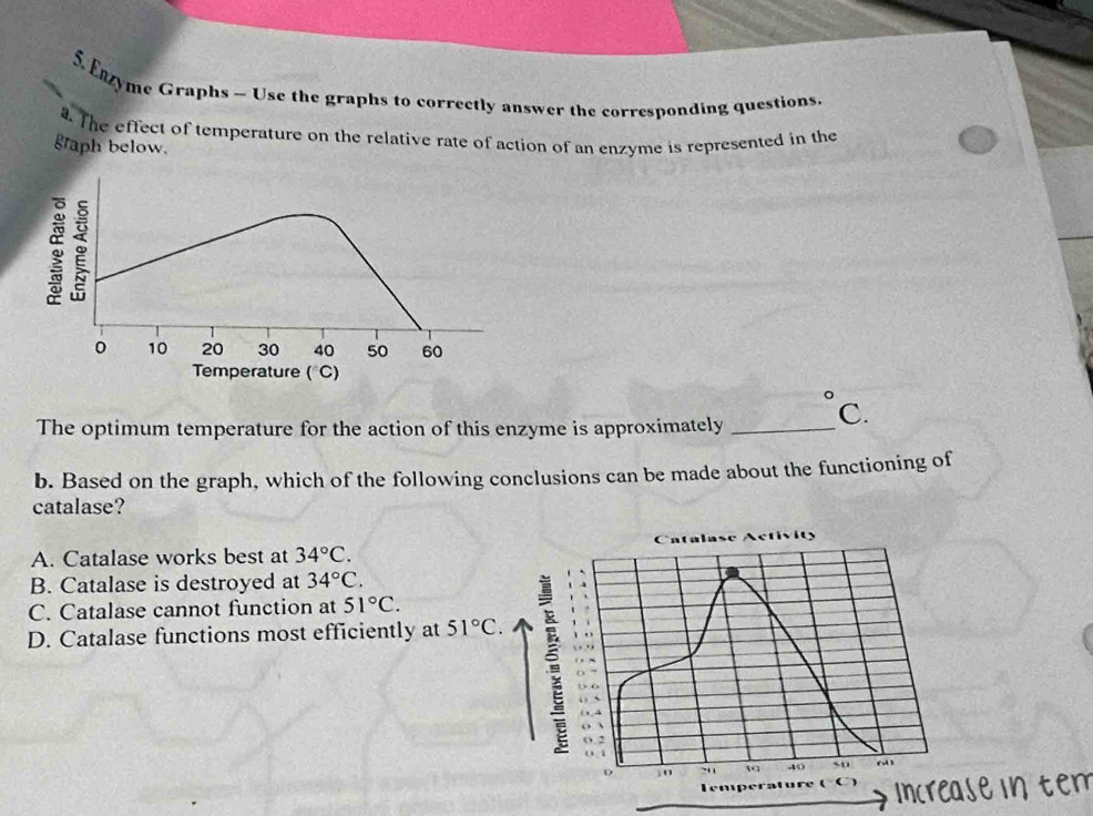 Enzyme Graphs - Use the graphs to correctly answer the corresponding questions.
The effect of temperature on the relative rate of action of an enzyme is represented in the
graph below.
。
0 10 20 30 40 50 60
Temperature ("C)
The optimum temperature for the action of this enzyme is approximately _C.
b. Based on the graph, which of the following conclusions can be made about the functioning of
catalase?
A. Catalase works best at 34°C. Catalase Activity
B. Catalase is destroyed at 34°C.
C. Catalase cannot function at 51°C.
D. Catalase functions most efficiently at 51°C. 
: o
D . , .. 40 su 6o
Temperature Increase intem