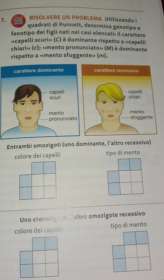 RISOLVERE UN PROBLEMA Utilizzando i 
quadrati di Punnett, determina genotipo e 
fenotipo dei figli nati nei casi elencati: il carattere 
«capelli scuri» (C) è dominante rispetto a «capelli 
chiari» (c); «mento pronunciato» (M) è dominante 
rispetto a «mento sfuggente» (m). 
Entrambi omozigoti (uno dominante, l’altro recessivo) 
colore dei capelli tipo di mento 
Uno eterozigote, Valtro omozigote recessivo 
colore d i c tipo di mento