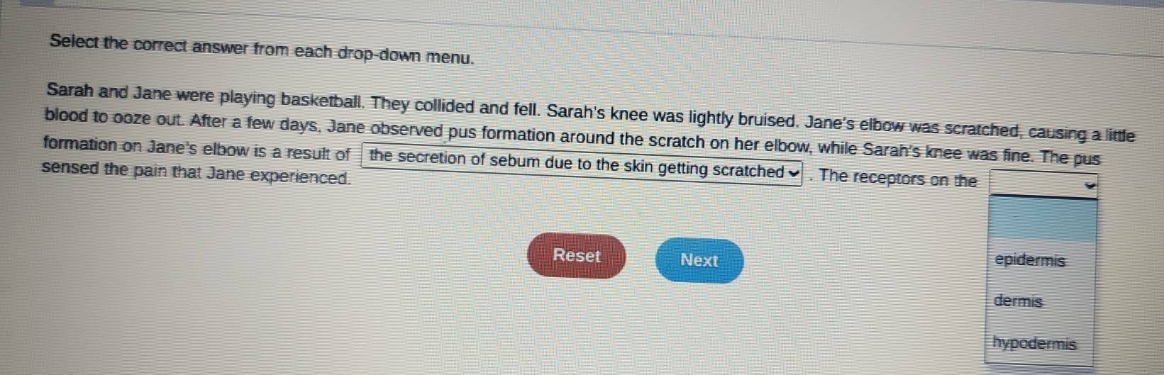 Select the correct answer from each drop-down menu. 
Sarah and Jane were playing basketball. They collided and fell. Sarah's knee was lightly bruised. Jane's elbow was scratched, causing a little 
blood to ooze out. After a few days, Jane observed pus formation around the scratch on her elbow, while Sarah's knee was fine. The pus 
formation on Jane's elbow is a result of the secretion of sebum due to the skin getting scratched . The receptors on the 
sensed the pain that Jane experienced. 
Reset Next epidermis 
dermis 
hypodermis