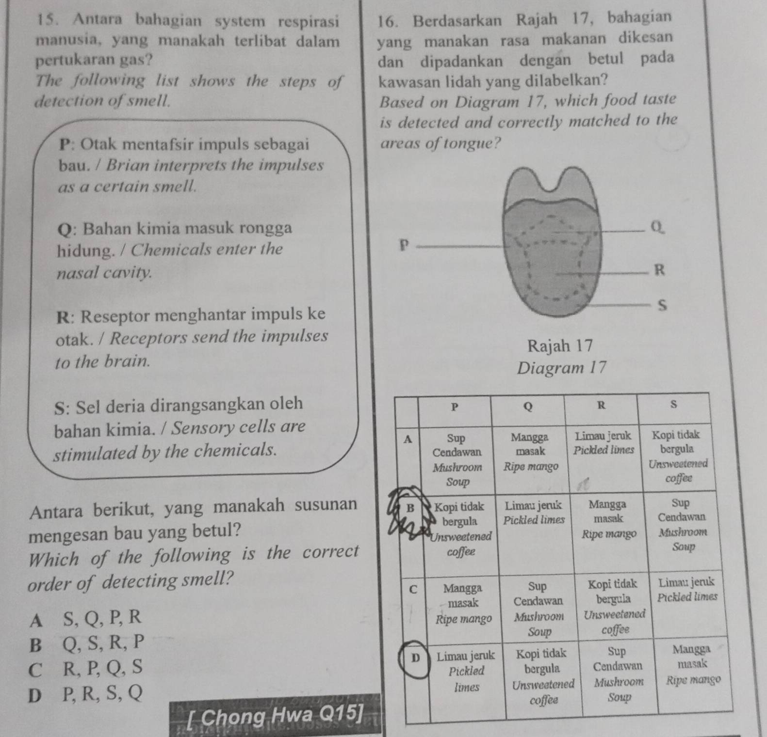 Antara bahagian system respirasi 16. Berdasarkan Rajah 17, bahagian
manusia, yang manakah terlibat dalam yang manakan rasa makanan dikesan
pertukaran gas? dan dipadankan dengan betul pada
The following list shows the steps of kawasan lidah yang dilabelkan?
detection of smell. Based on Diagram 17, which food taste
is detected and correctly matched to the
P: Otak mentafsir impuls sebagai areas of tongue?
bau. / Brian interprets the impulses
as a certain smell.
Q: Bahan kimia masuk rongga
hidung. / Chemicals enter the
nasal cavity.
R: Reseptor menghantar impuls ke
otak. / Receptors send the impulses
to the brain.
S: Sel deria dirangsangkan oleh
bahan kimia. / Sensory cells are
stimulated by the chemicals. 
Antara berikut, yang manakah susunan
mengesan bau yang betul?
Which of the following is the correct
order of detecting smell?
A⊆S, Q, P, R
B⊆Q, S, R, P
C R, P, Q, S
D⊆P, R,S, Q
[ Chong Hwa Q15]