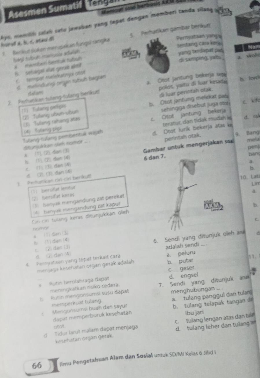 Memaet con herbasis AKM-SA
Asesmen Sumatif Tenga
Ays, memilih salah satu jawaban yang fepat dengan memberl tanda silang
Pernyataan yang a
1. Berkut Sukon merzpakan fungsi rangka 5. Perhatikan gambar berikut
houref a, b. c. stai di
tentang cara kera . Nam
bagi tubum menudia adalan
yang terdapat paó
# membén Bentuk tubuł
di samping, yaito
Bswhangat aat eerak ws
s.  melindungi organ tubuh bagian a. skolio
C. tempal melekatnya oño
a. Otot jantung bekerja sepe
2. Perhwtiken tutang-tulang Berkutt polos, yaitu di luar kesadas b. ford
Gasm
(1) Tuláng pellipi di luar perintah otak.
(2)  Tulang ubun-ubun b. Otot jantung melekat padi
(3) Tulang rahang atas sehingga disebut juga ots c. kifo
c. Otot jantung bekerja
Tolang-tulang pembentuk wajah teratur, dan tidak mudah is d. rak
(4) Tulang pipi
perintah otak. 9. Bang
dturjudain sels namat .. . d. Otot lurik bekerja atas ke
b. (1), (2), dain (4) Gambar untuk mengerjakan soa
mela
penji
x (1), (2), dan (3)
c. (1), (3), dan (4) 6 d
bang
a
b
d. (2), (3), dan (4)
3. Perhatikan ciri-ciri berikut!
10. Lat
Lim
1)  bersifat lentur
a.
(2) Iversifat keras
(3) banyak mengandung zat perekat
4  banyak mengandung zat kapur
b.
Ciri-cir tulang keras ditunjukkan oleh
C.
nomar
a. (1) dan (3)
b (1)dan (4)
6. Sendi yang ditunjukh an d
c. (2) dàn (3)
d. (2) dan (4) adalah sendi ... .
b. putar 11.
4. Pernyataan yang tepat terkait cara
menjaga kesehatan organ gerak adalah a. peluru
c. geser
a  Rutin berolahraga dapat d. engsel
meningkatkan risiko cedera.
B   Rutin mengonsumsi susu dapat 7. Sendi yang ditunjuk an
menghubungan ... .
c  Mengonsumsi buah dan sayur a. tulang panggul dan tulan
memperkuat tulang.
dapat memperburuk kesehatan b. tulang telapak tangan da
ibu jari
d Tidur larut malam dapat menjaga c. tulang lengan atas dan tul
otat.
d. tulang leher dan tulang 
kesehatan orgán gerak.
66 limu Pengetahuan Alam dan Sosial untuk SD/MI Kelas 6 Jilid I