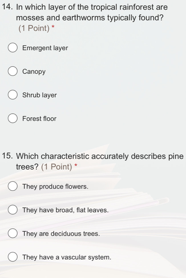 In which layer of the tropical rainforest are
mosses and earthworms typically found?
(1 Point) *
Emergent layer
Canopy
Shrub layer
Forest floor
15. Which characteristic accurately describes pine
trees? (1 Point) *
They produce flowers.
They have broad, flat leaves.
They are deciduous trees.
They have a vascular system.