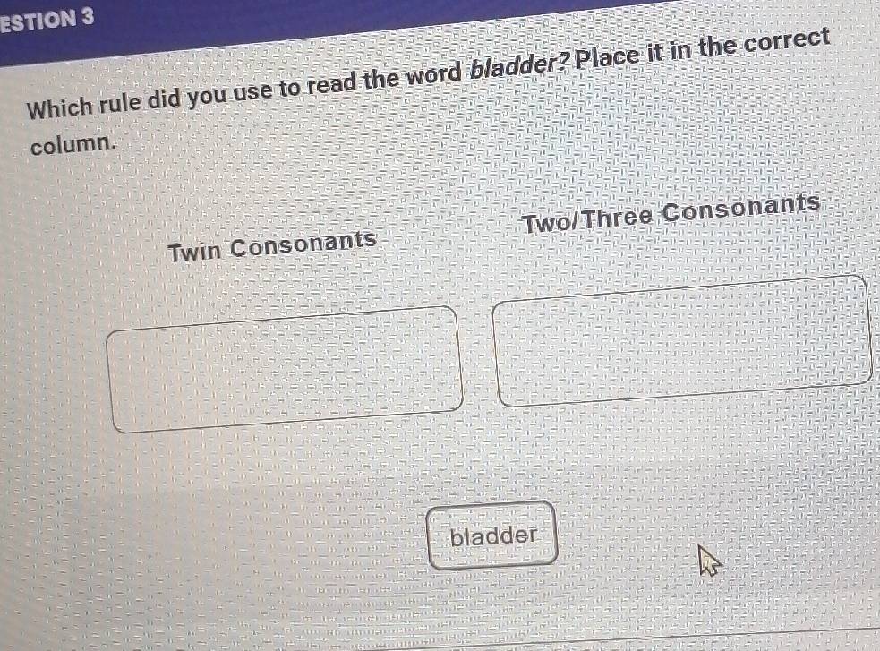 ESTION 3
Which rule did you use to read the word bladder? Place it in the correct
column.
Twin Consonants Two/Three Consonants
bladder